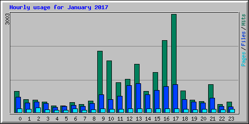 Hourly usage for January 2017