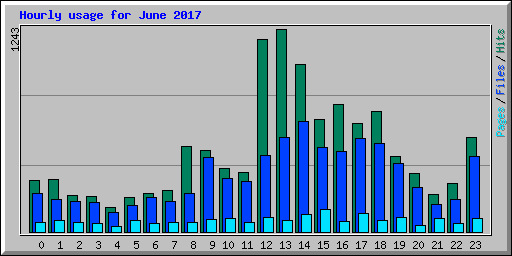 Hourly usage for June 2017