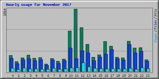 Hourly usage for November 2017